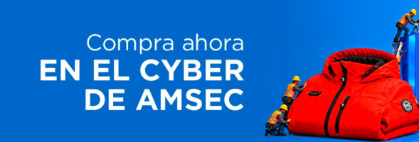 Cyber Zapatos de Seguridad Chile